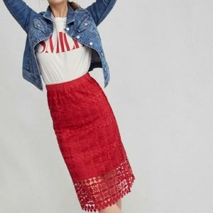 Anthropologie| Lili's Closet Crochet Skirt
